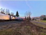 Coast Starlight sunset